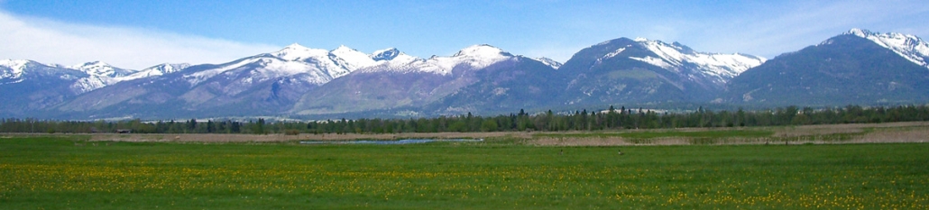 Montana's bitterroot mountains with snow and green pasture foreground
